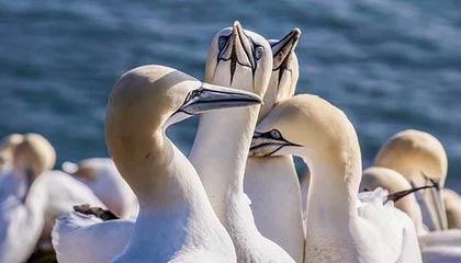 改则高价上海医保提取2025的最新政策(2025年改则上海医保怎么提取现金分享)