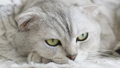 高价回收医保卡余额联系方式深圳的简单介绍